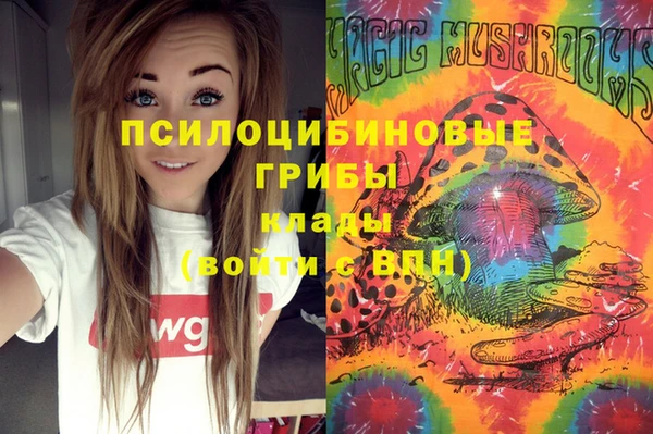 мдпв Мегион