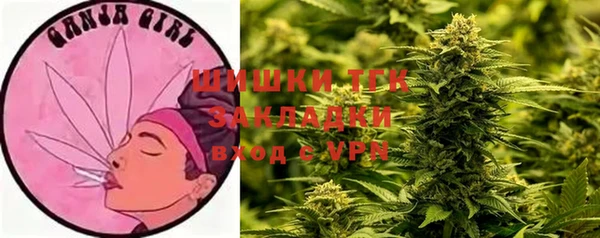 ПСИЛОЦИБИНОВЫЕ ГРИБЫ Михайловка