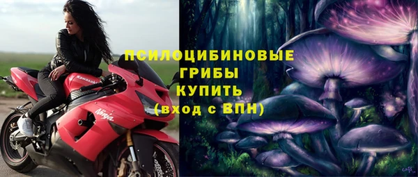 ПСИЛОЦИБИНОВЫЕ ГРИБЫ Михайловка