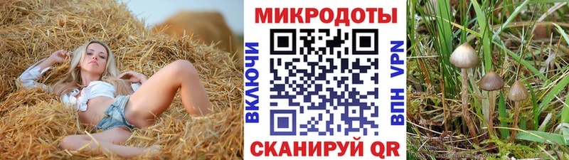 blacksprut как зайти Мышкин Галлюциногенные грибы мицелий